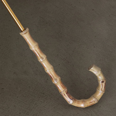 symphonie-pastorale (Symphony Pastoral)