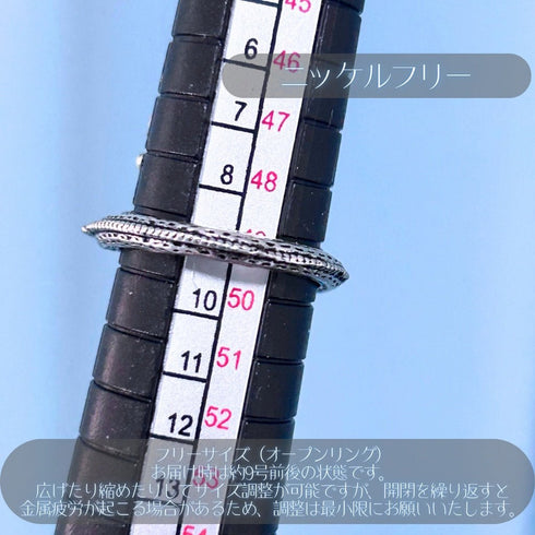 <06018>イグアナリング(パープル)
