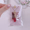 <09121>Key and strawberry Necklace(45~50cm)(Red)