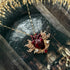 <12038>Crest of Devotion pendant - Red Heart x Red stone
