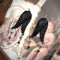 <12081>Fallen Wings