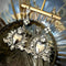 <12087>Virtue Immaculate - SV