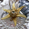 <12105>Seraphim - Deep green