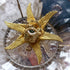<12105>Seraphim - Deep green