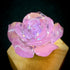 <14026>Magical Ice Rose ring black to pink