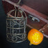 <17046>Birdcage Apple Necklace(Yellow × red)