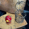 <17047>Birdcage Apple Necklace(Nailed Apple)
