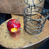 <17047>Birdcage Apple Necklace(Nailed Apple)
