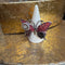 <17054>Butterfly Ring hindwing tail(red × black)