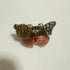 <17062>Butterfly Ring jagged wings(black × red)