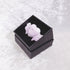 <26009>angelos〈Messenger〉Brooch