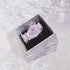 <26011>Psyche Brooch