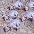 <26026>The Lamb of God Brooch