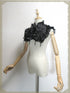 Aspiracio YorkCollar
