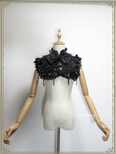 Aspiracio YorkCollar